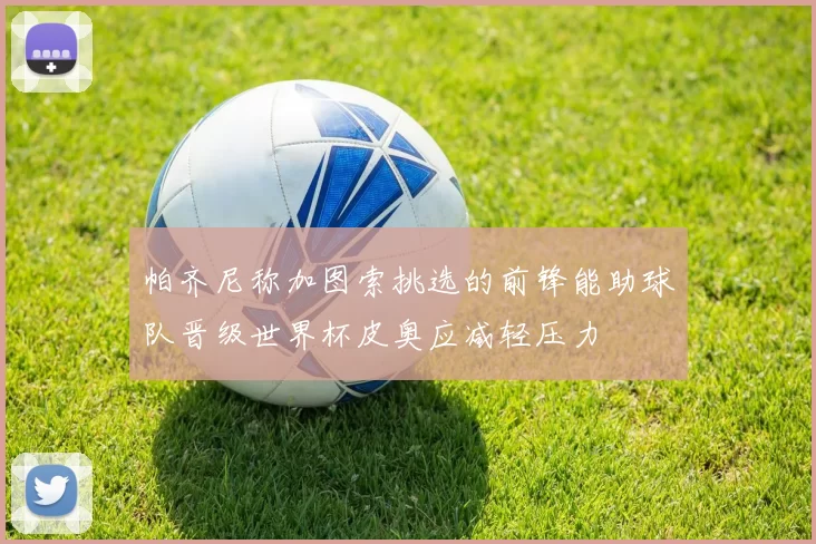 帕齐尼称加图索挑选的前锋能助球队晋级世界杯皮奥应减轻压力