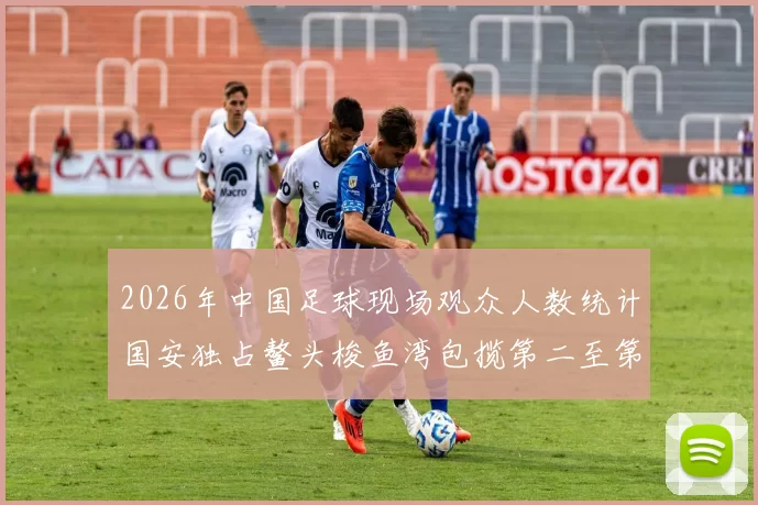2026年中国足球现场观众人数统计国安独占鳌头梭鱼湾包揽第二至第七位