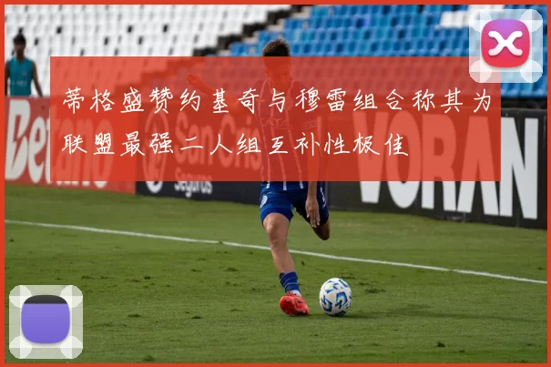 蒂格盛赞约基奇与穆雷组合称其为联盟最强二人组互补性极佳